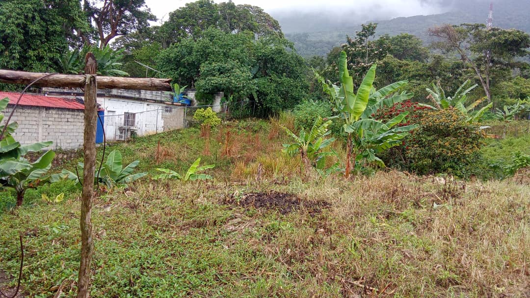 Vista del terreno